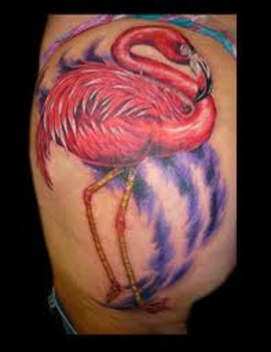 Flamingo Tattoos And Meanings hubpages