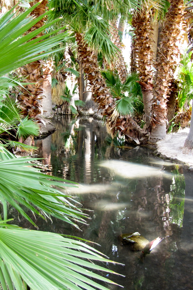 Visiting Tucson, Arizona? Check These Places Out HubPages