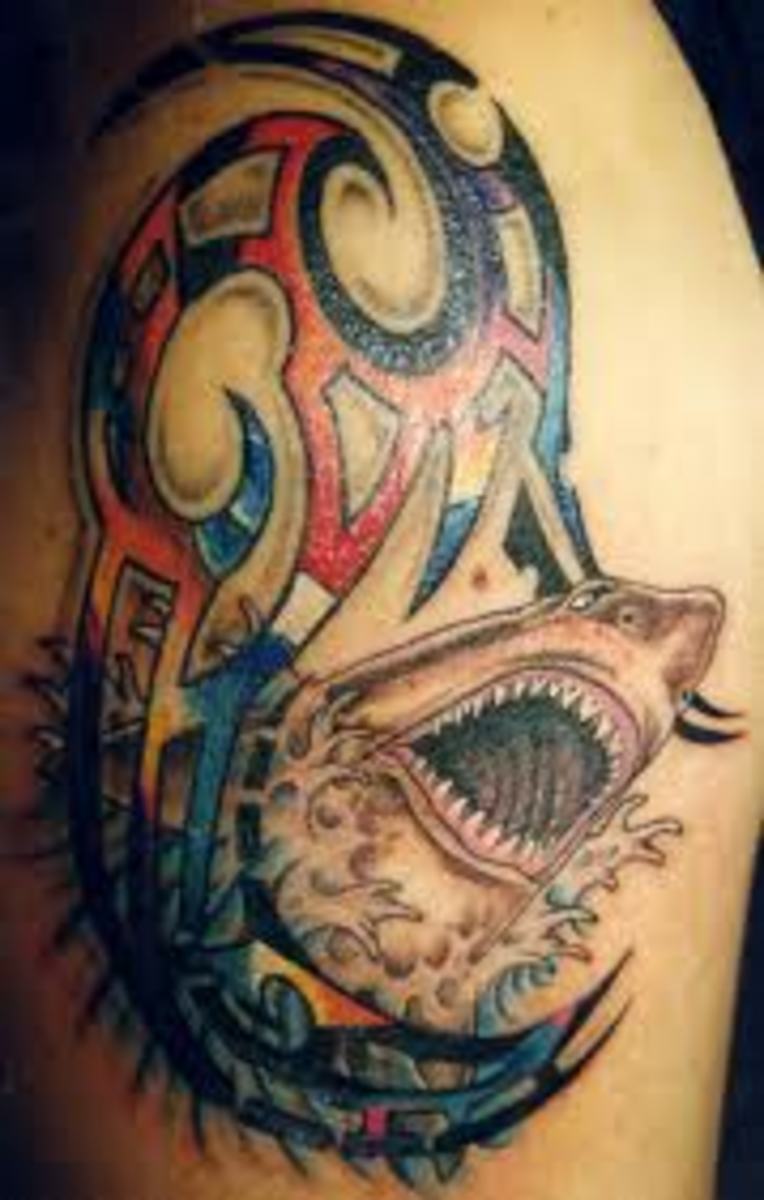 Shark Tattoos And Shark Tooth Tattoos With Images; History And Meanings