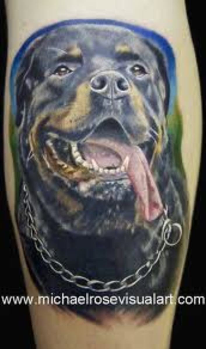 Rottweiler Tattoos And Meanings; Rottweiler Tattoo Designs And Ideas