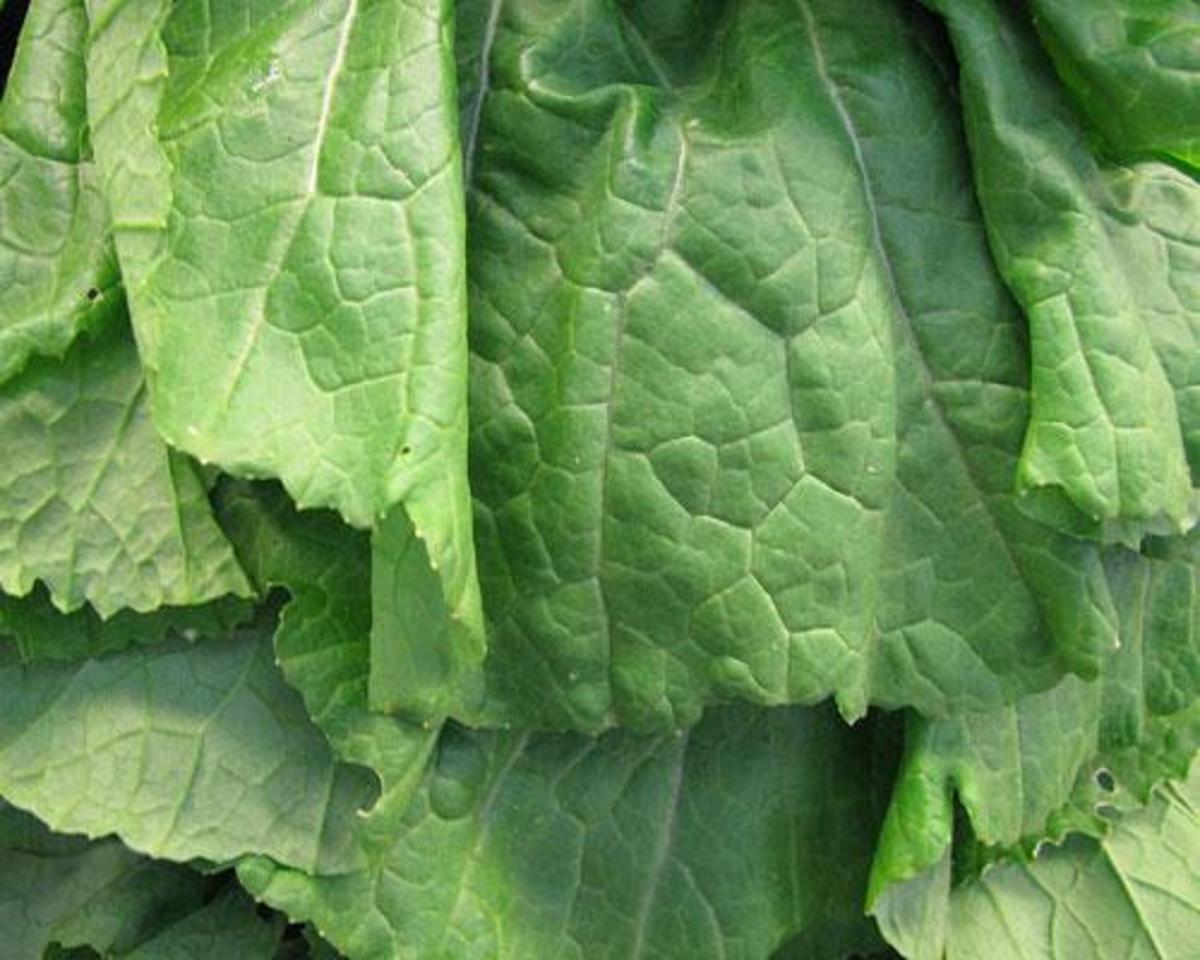 How To Choose Mustard Greens and Recipes HubPages