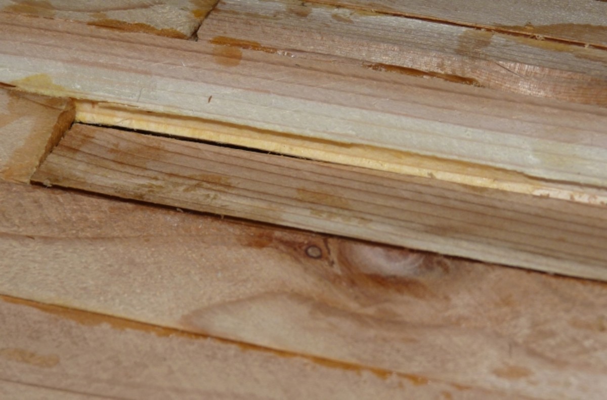 Building a Cedar Strip Canoe Sanding and Fiberglassing SkyAboveUs