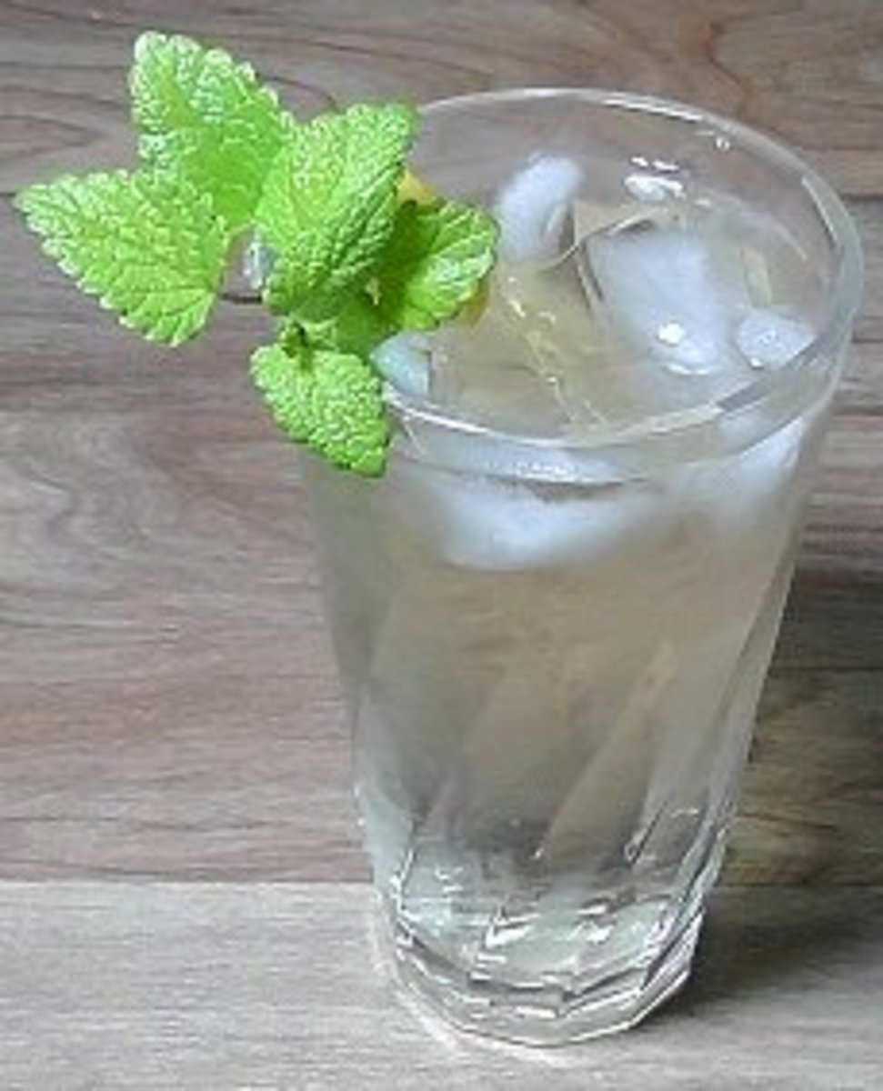 Recipe for Fresh Iced Lemon Balm Tea Delishably