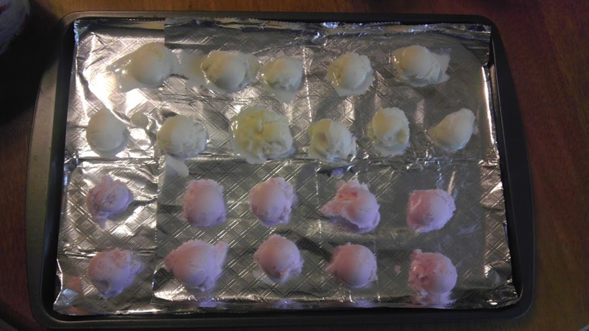 How to Make Yogurt Balls for Dessert Delishably