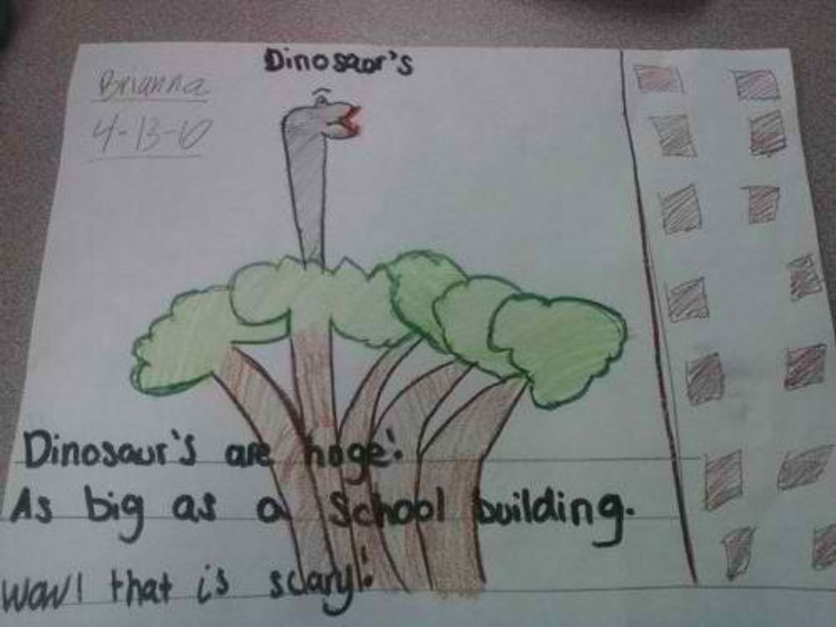 Haiku poems lesson Teaching poetry to 2nd grade students
