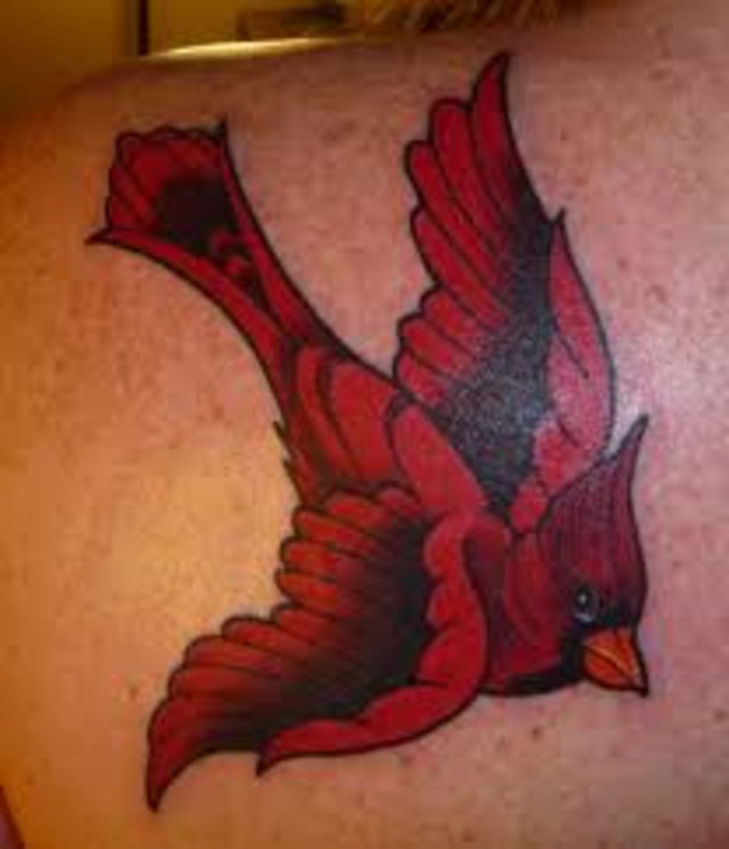 Cardinal Tattoos And DesignsCardinal Tattoo Ideas And
