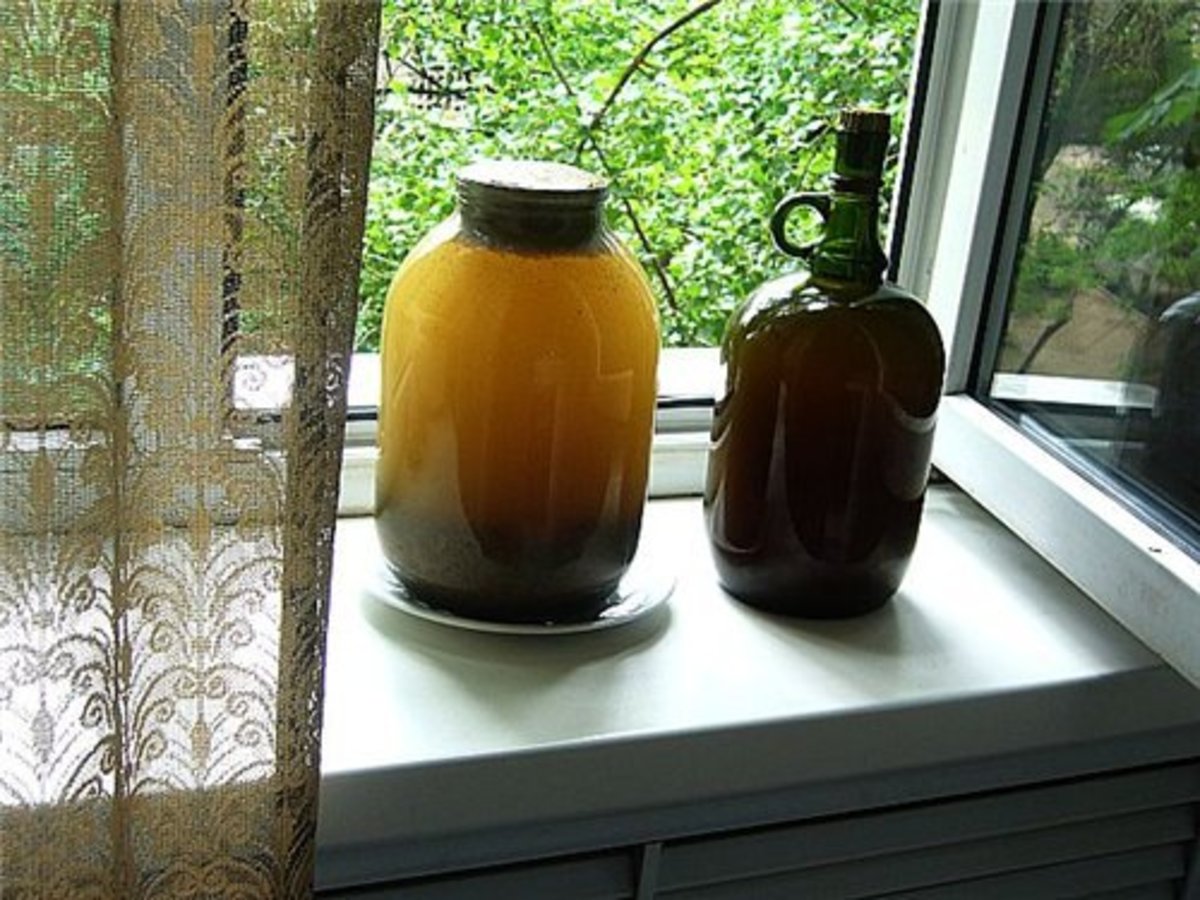 Real Russian Kvass Recipe HubPages