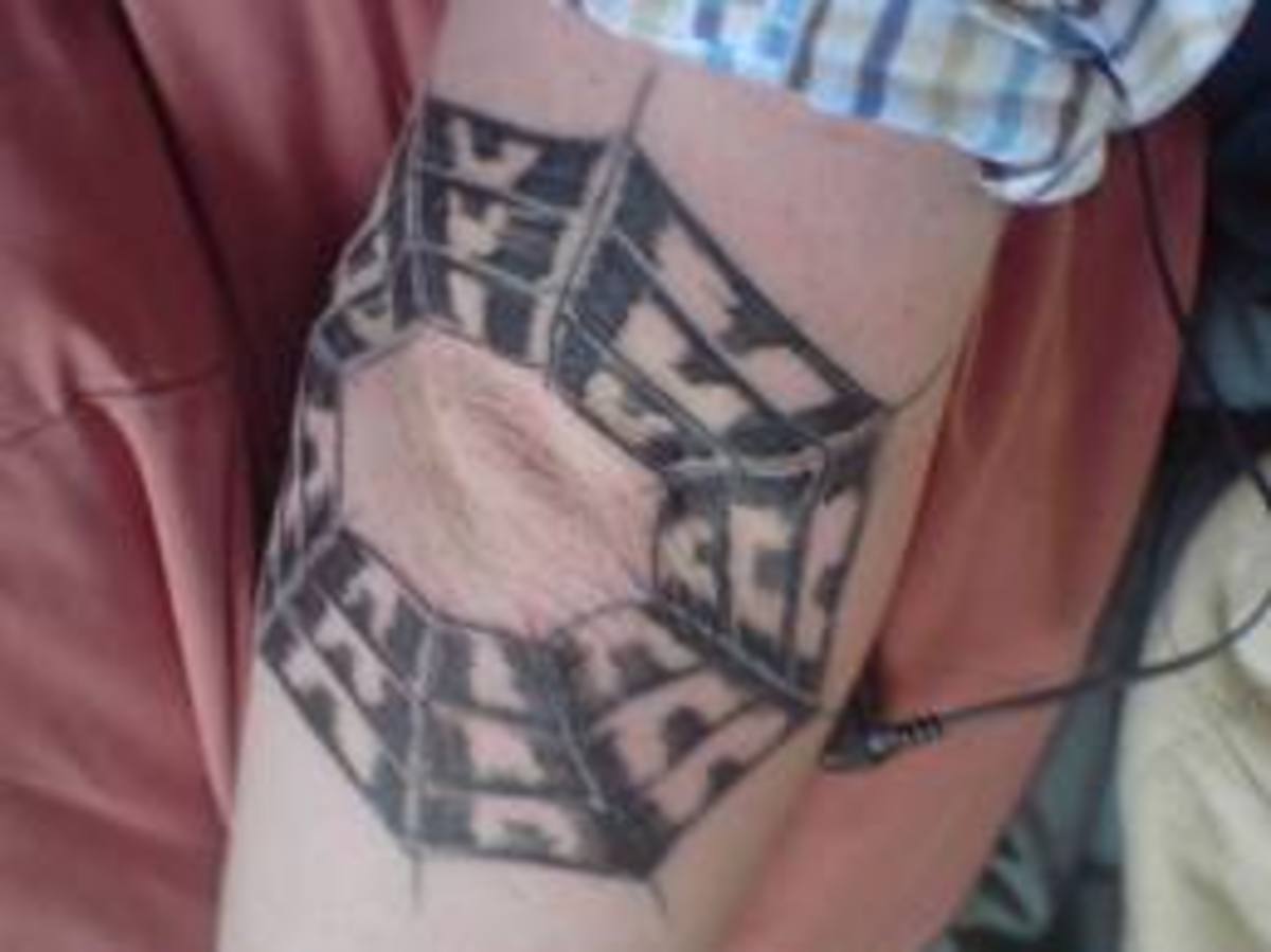 Spider Web Tattoos Meanings, Ideas, and Pictures TatRing