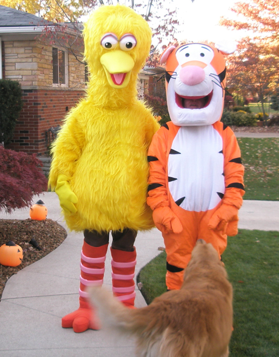 Big Bird Costumes HubPages