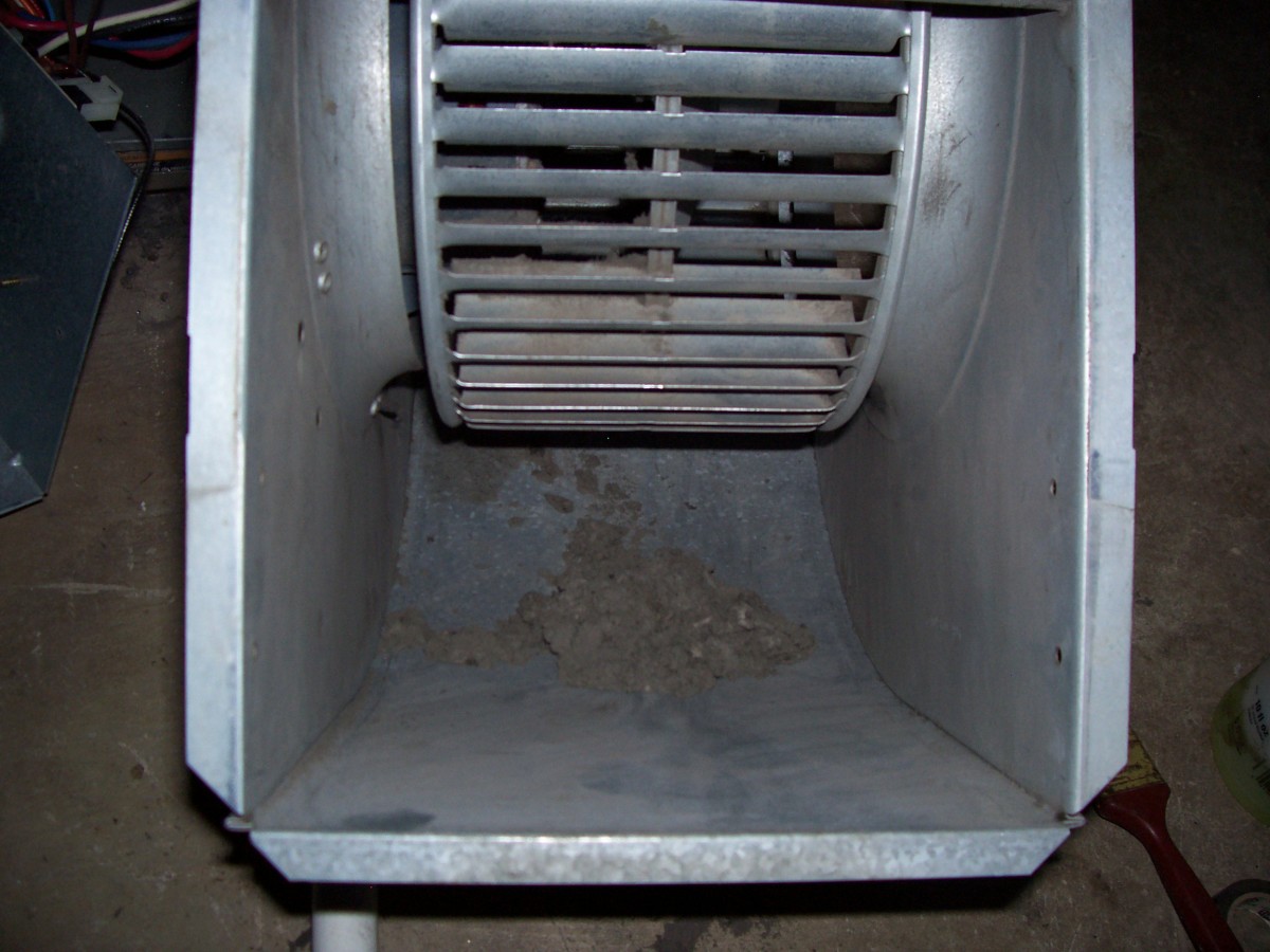 How to Clean a Furnace Fan | Dengarden