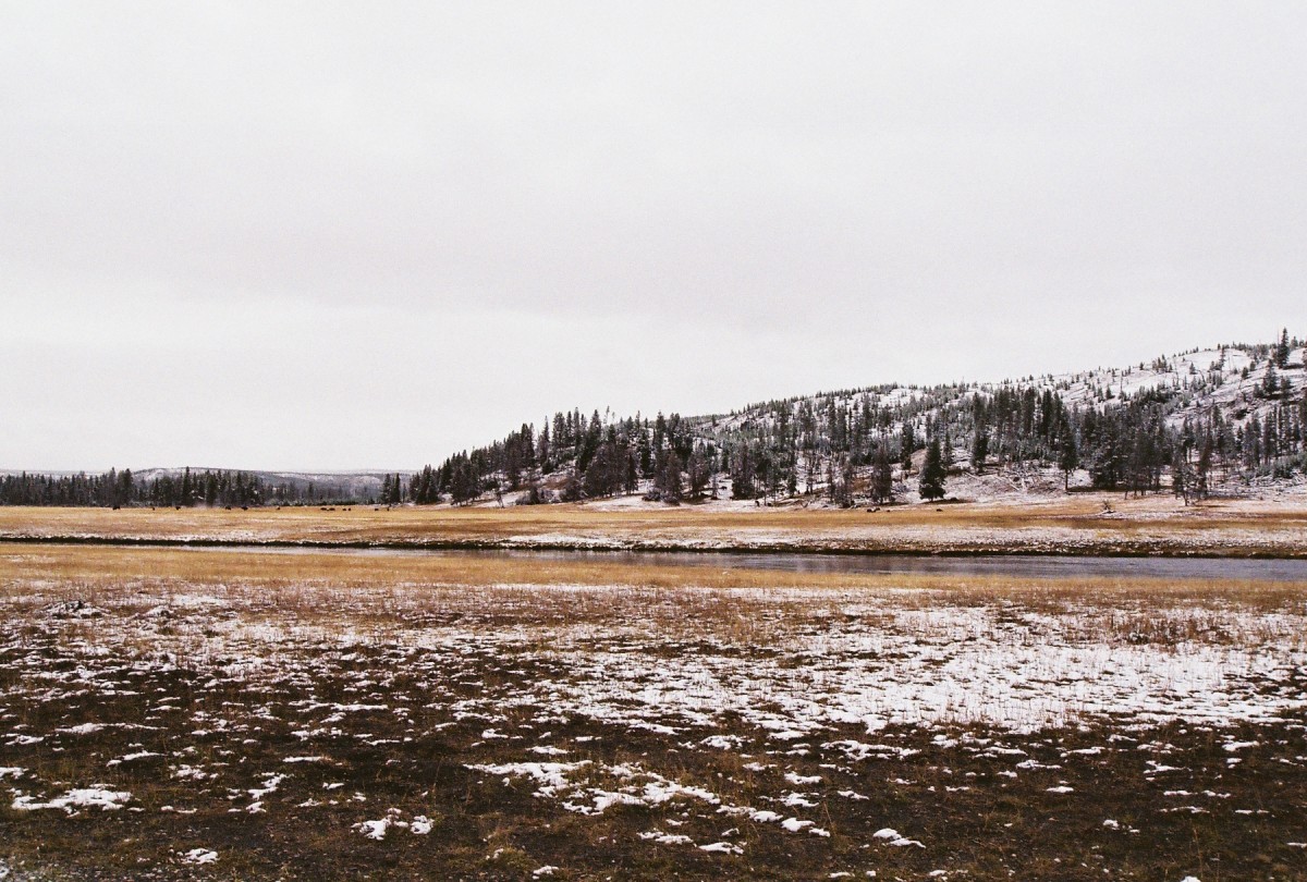 The Secrets of Yellowstone National Park hubpages