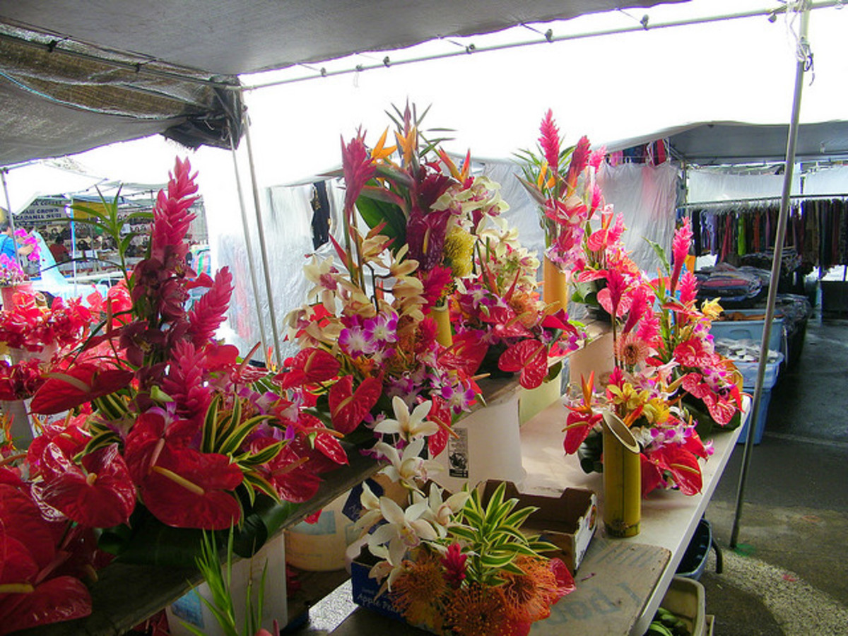 How To Keep Cut Flowers Fresh Last Longer And Homemade Recipe For Cut