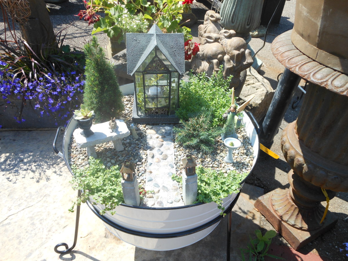 Fairy Garden Designs And HowTo Guide
