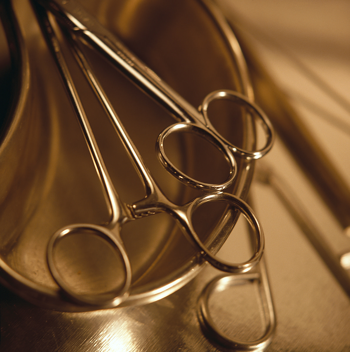 The Argument For Altered Dogs HubPages