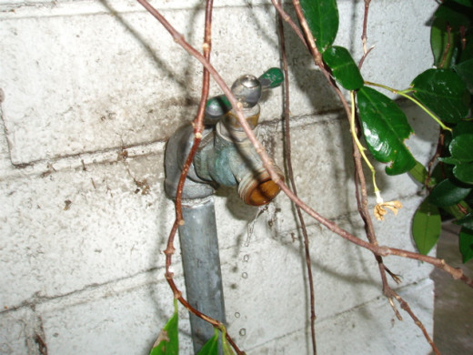 Spigot Definition & Meaning Dictionary.com