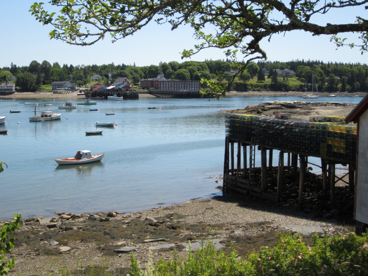 My Favorite Lobster Pounds in Maine HubPages