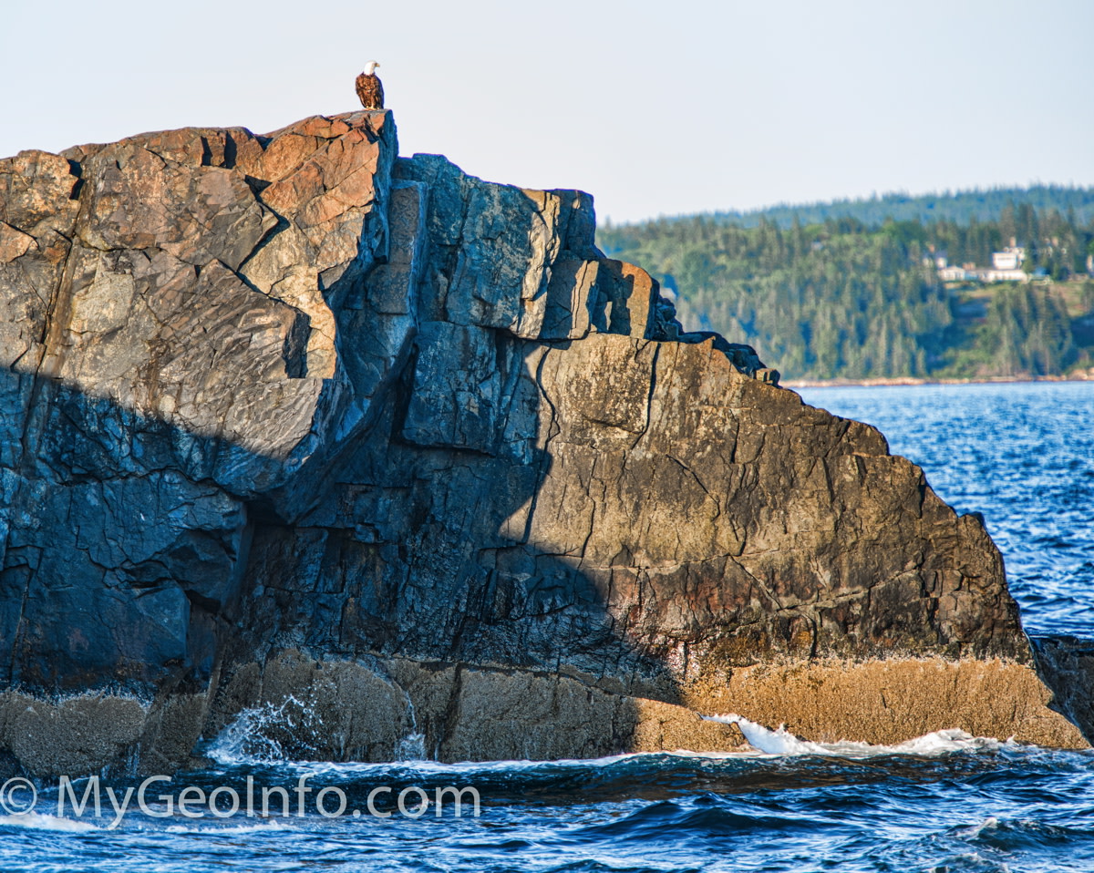 Things To Do In Bar Harbor Maine