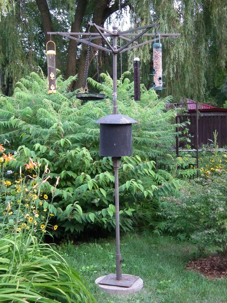 How to Build a Bird Feeder Pole Dengarden