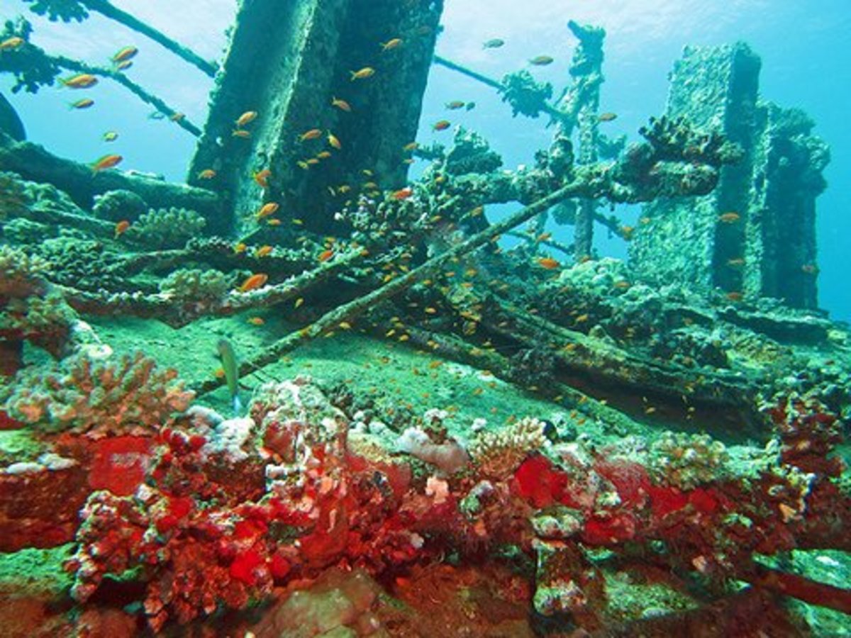 Shipwreck Diving in the Red Sea, Jeddah SkyAboveUs