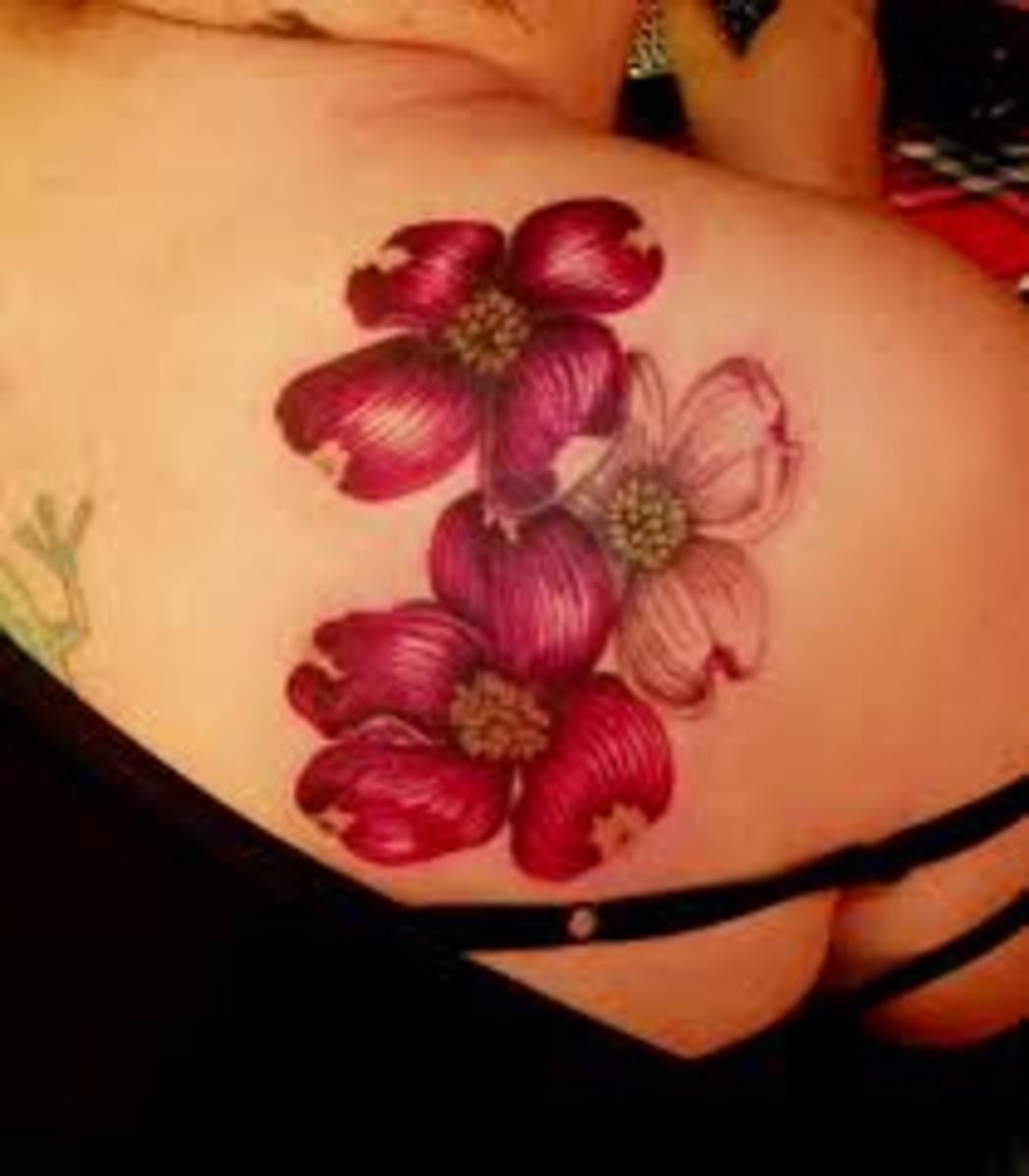 Dogwood Flower Tattoos And DesignsDogwood Flower Tattoo