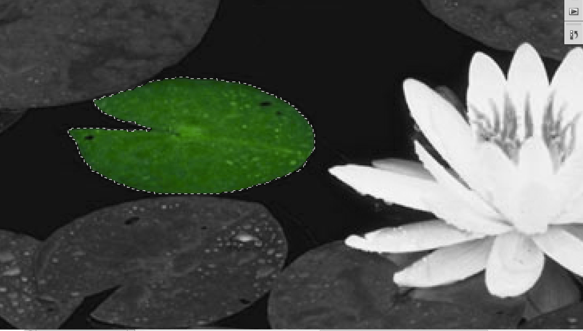 Make Picture Black And White Except One Color at Francisco Garzon blog