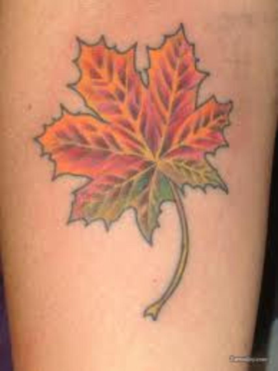 Leaf Tattoo Designs, Ideas, and Meanings TatRing
