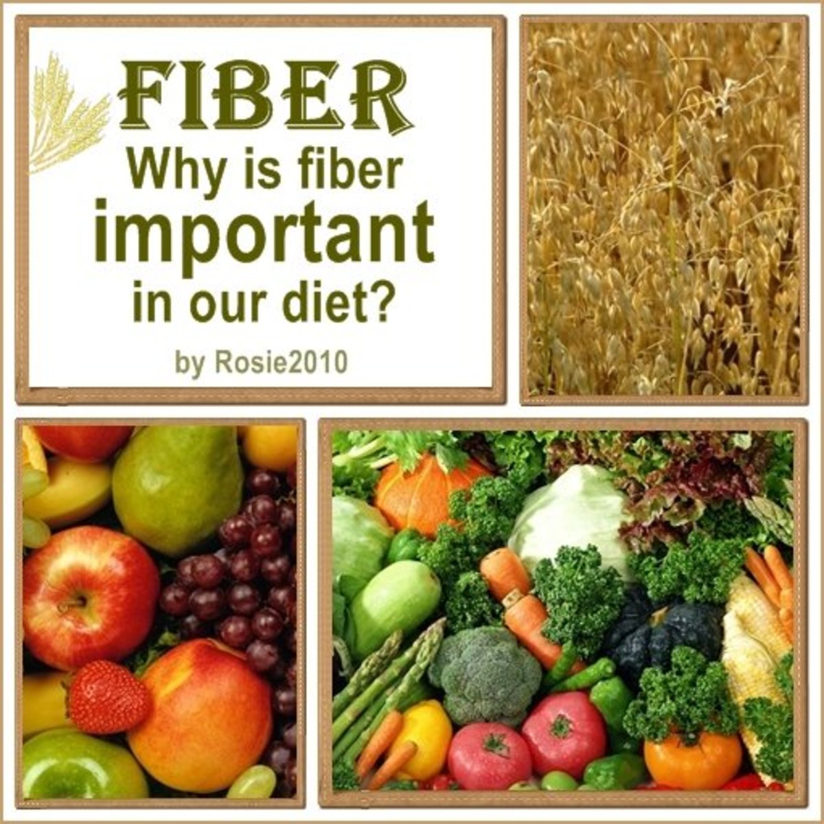 What is Fiber and Why is Fiber Important in our Diet? HubPages