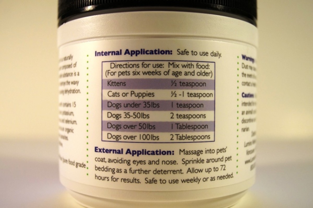 Is Diatomaceous Earth Safe for Dogs and Will It Kill Fleas? Uses and Facts PetHelpful