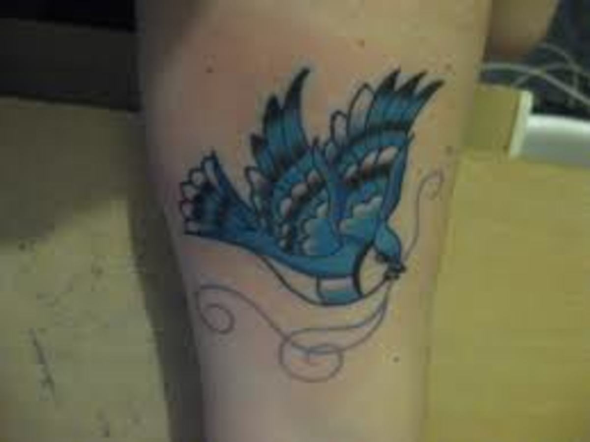 Blue Jay Tattoo Meanings & Designs TatRing