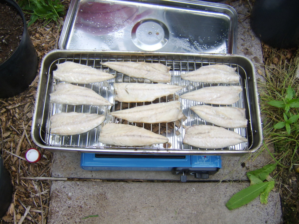 How to Smoke Mackerel Fillets Delishably