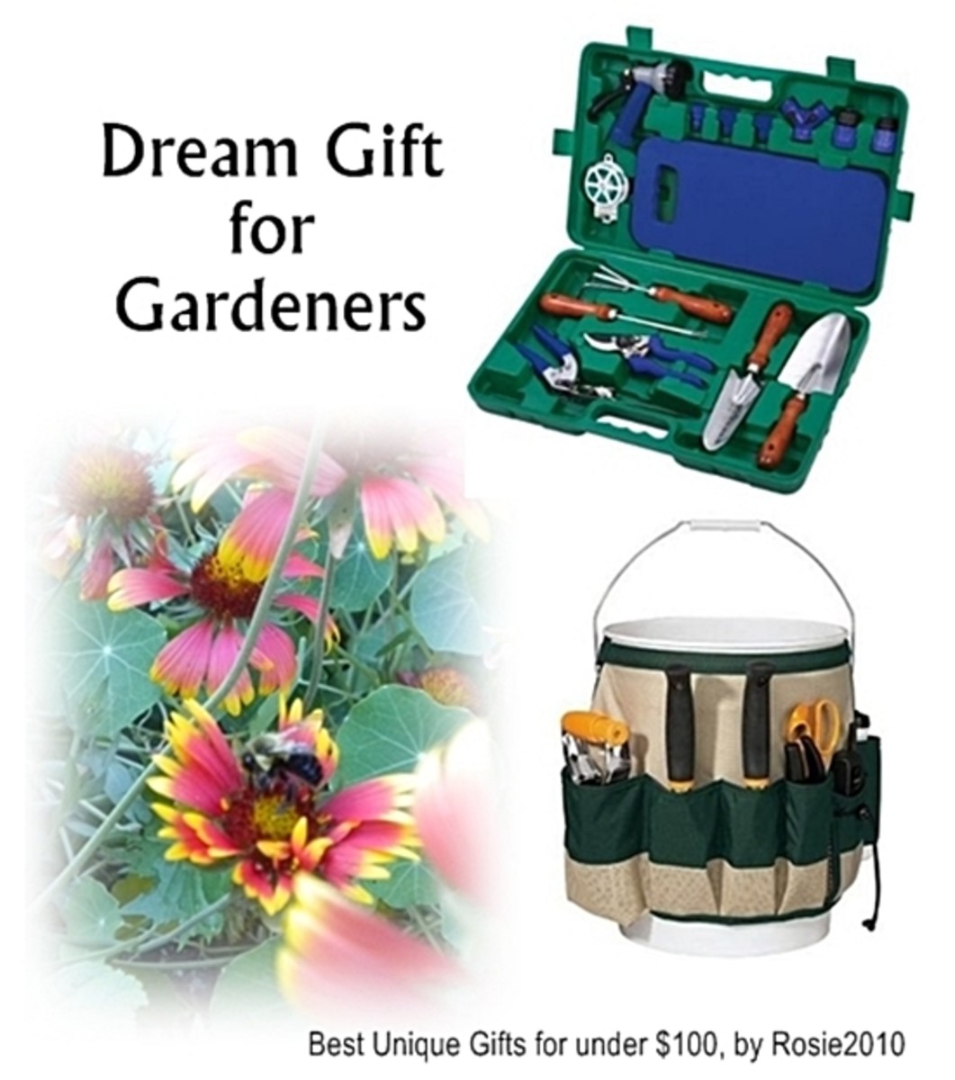 Unique Gifts and Gift Ideas for under 100