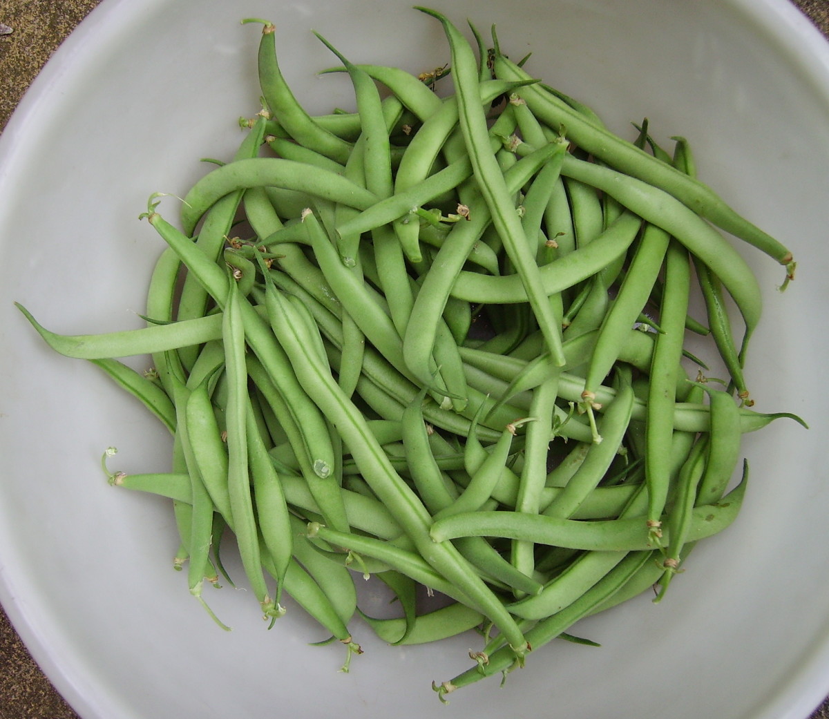 How to Cook Fresh Green Beans With Paula Deen's Delicious Recipe