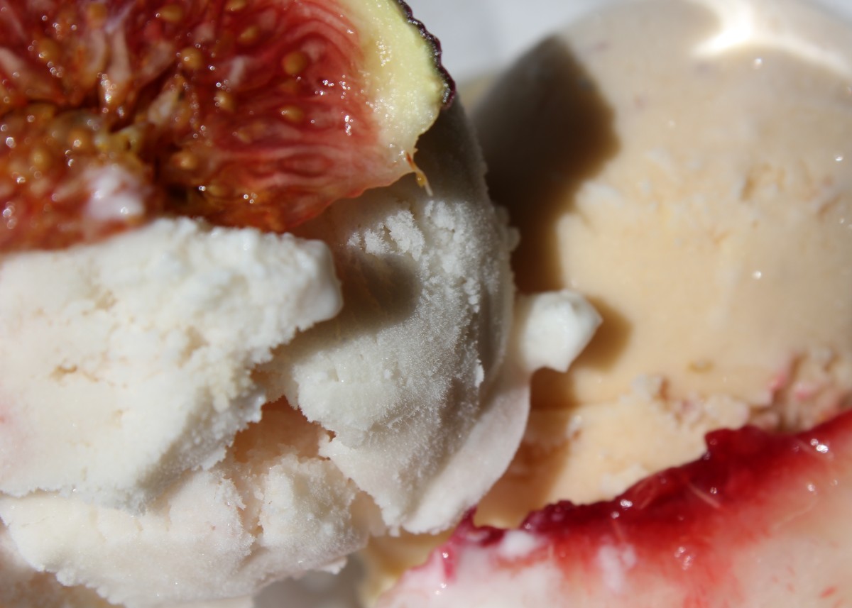 Custardless Goat Cheese Ice Cream Recipe with Fig Walnut Swirl