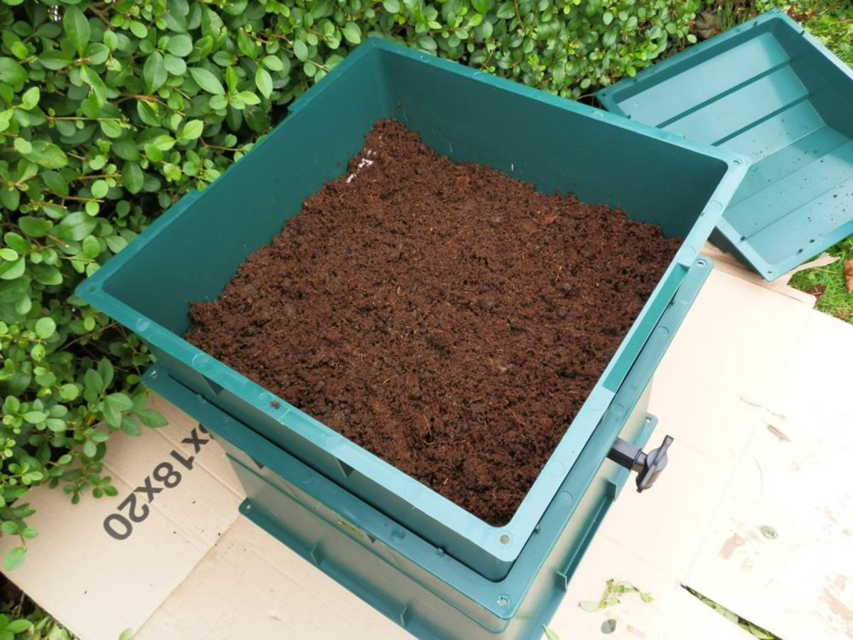How to Set Up a Worm Composting Bin (With StepbyStep Photo Guide