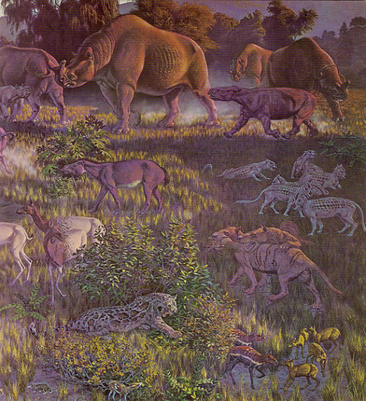 A History Of Life On Earth The Cenozoic Era hubpages