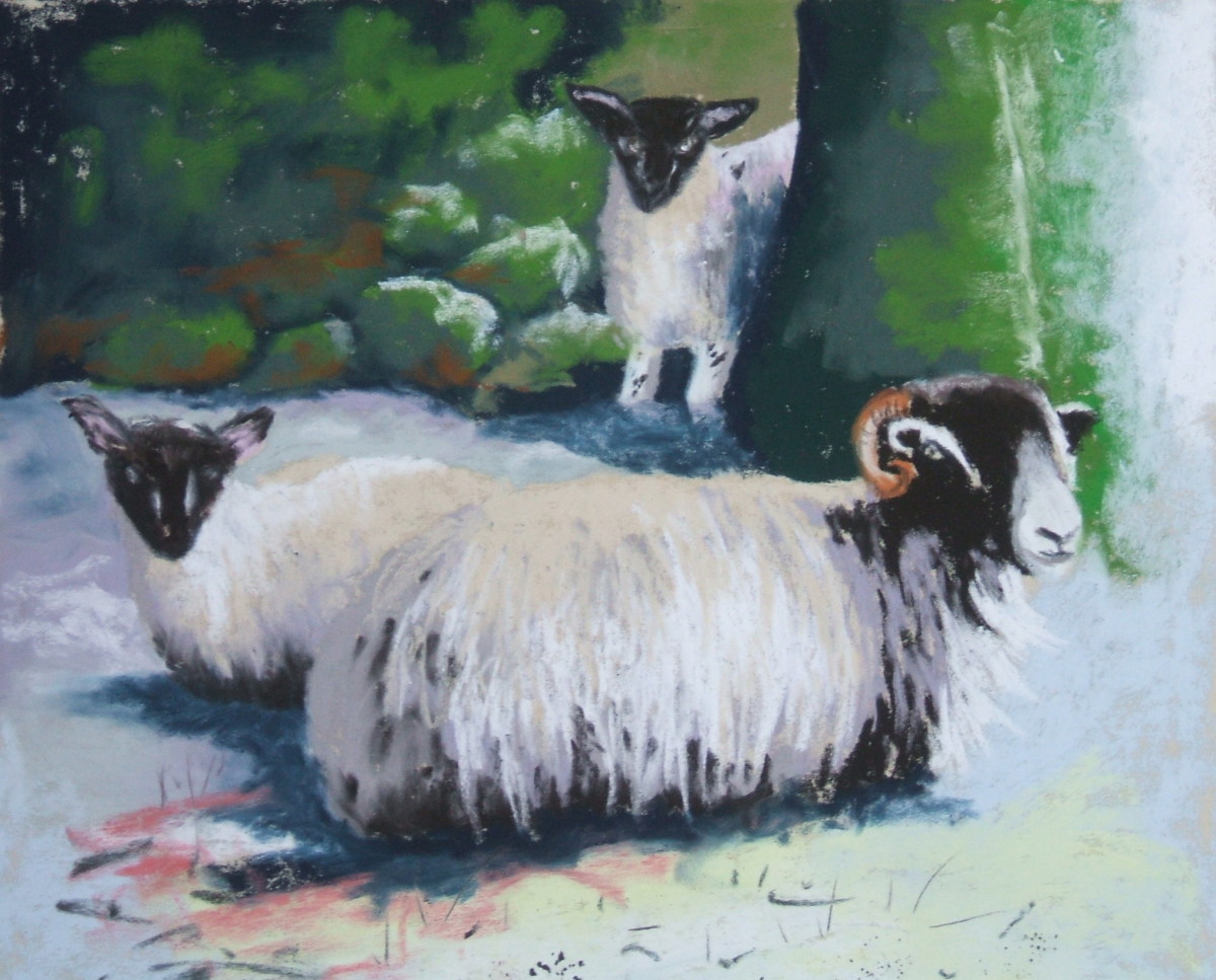 Which Pastel Paper? The Best Pastel Paper for Your Painting HubPages