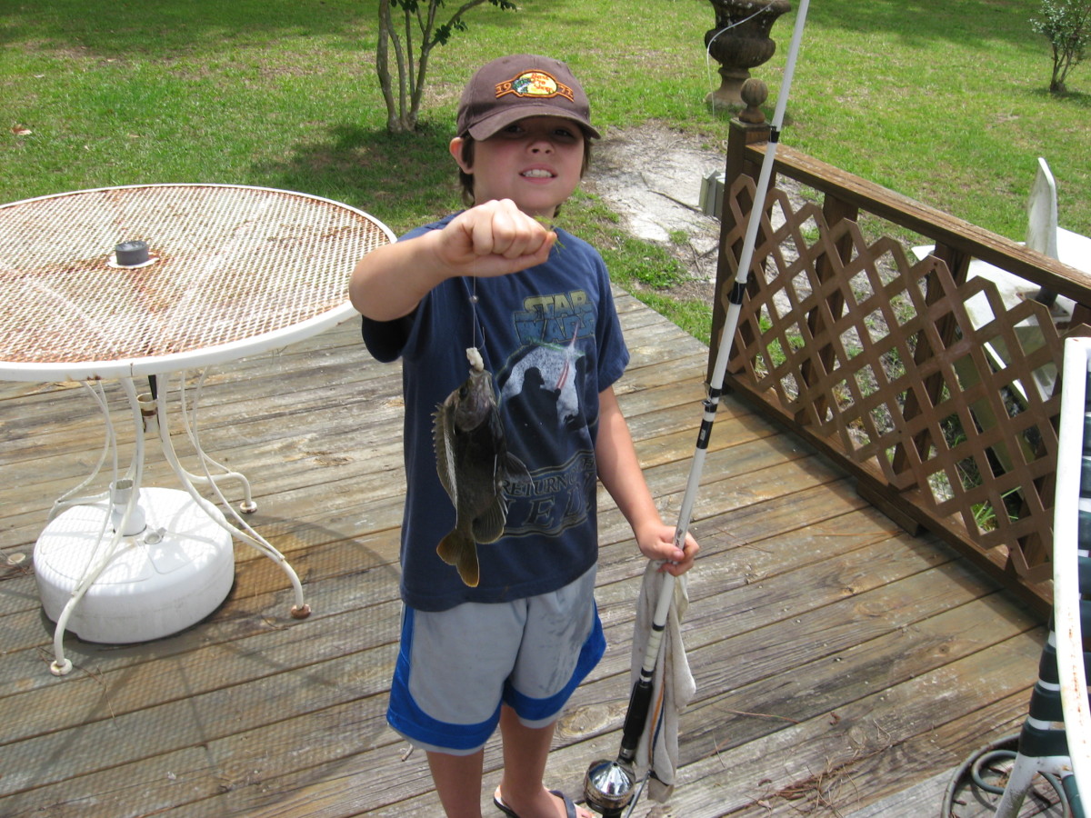 Fun Activities For Kids Fishing! HubPages