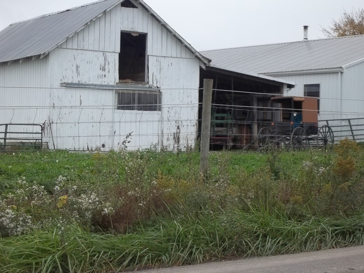 Amish Communities in Western Pennsylvania WanderWisdom