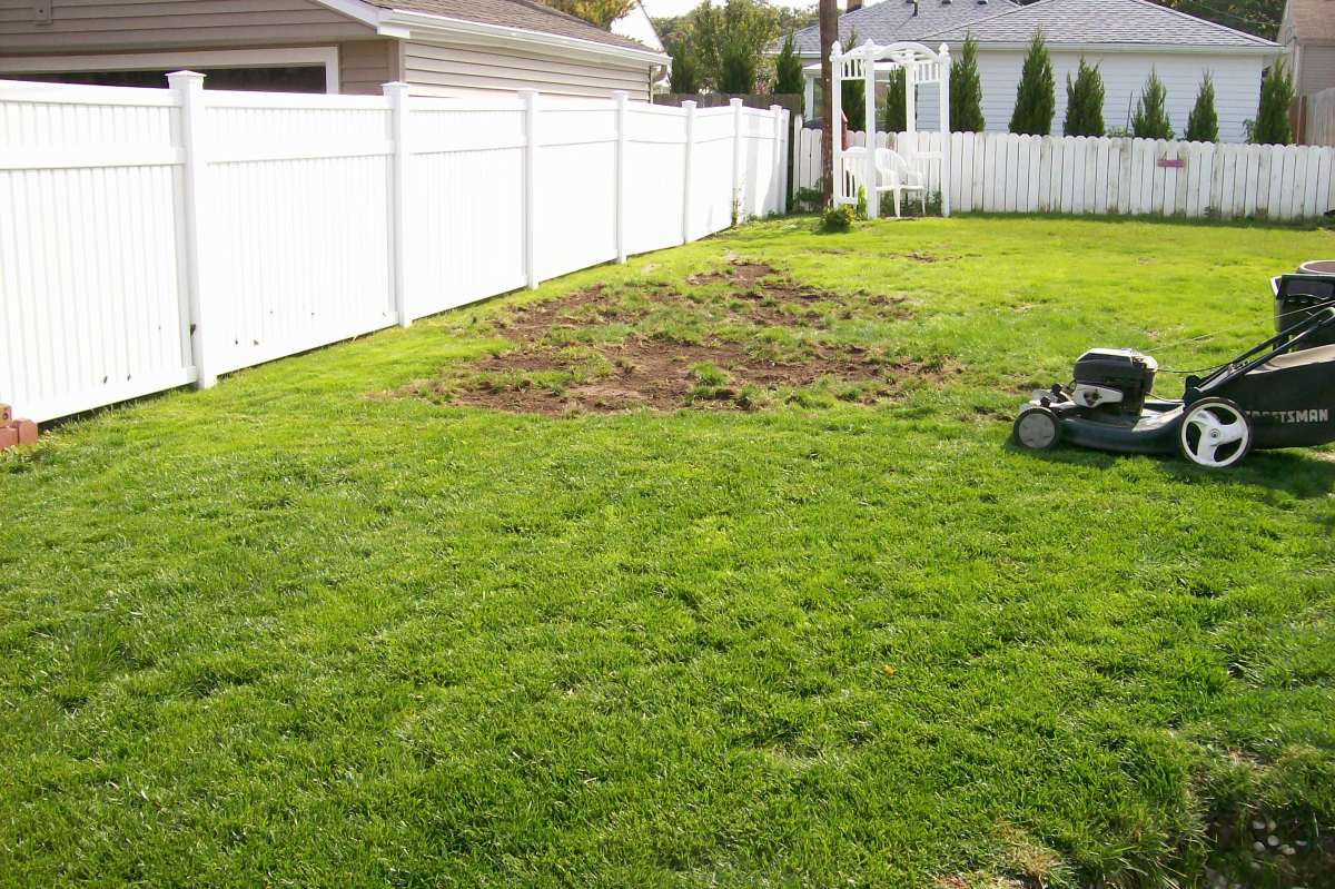 Lawn Grubs How to Identify, Get Rid of, and Prevent Them Dengarden