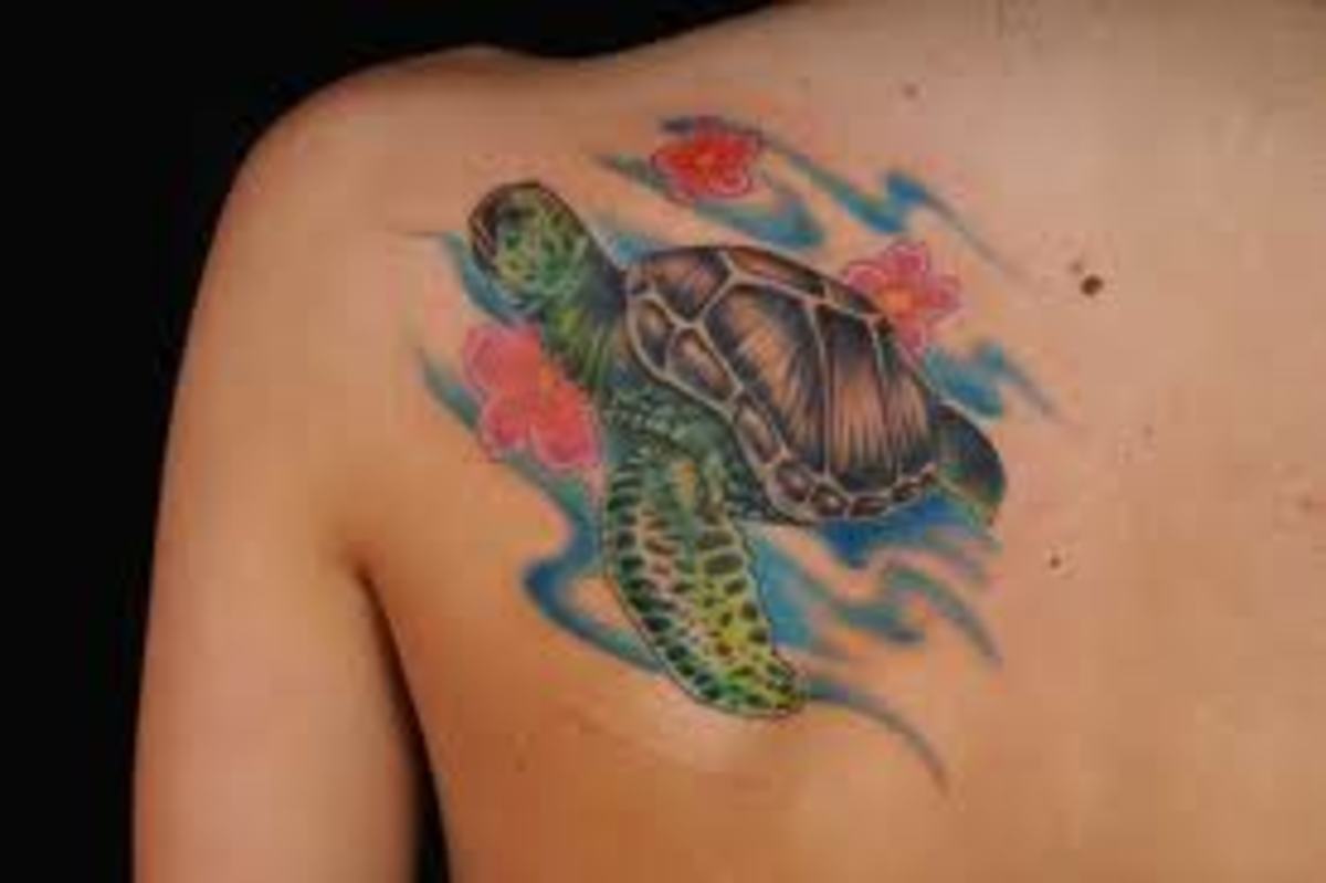 Sea Turtle Tattoos And DesignsSea Turtle Tattoo Meanings