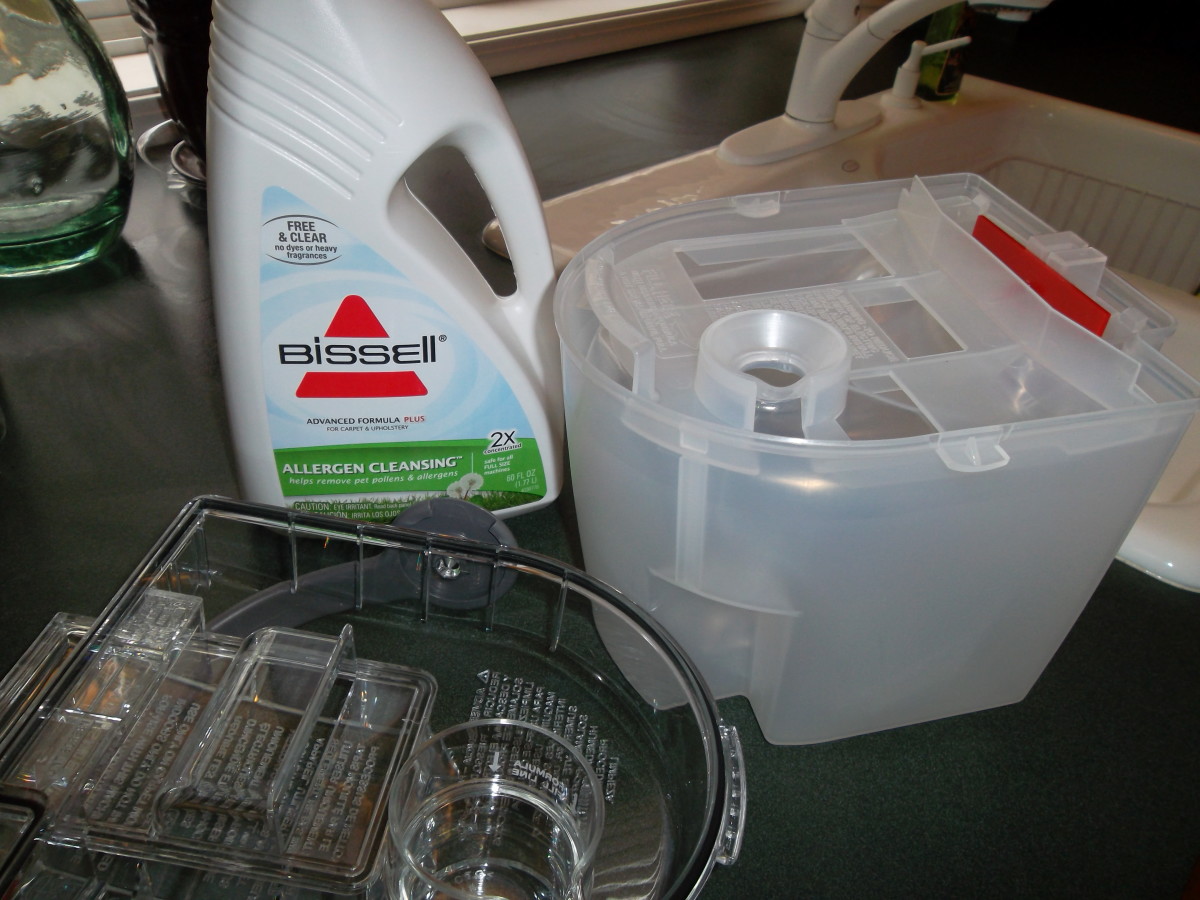 MustHave Carpet Deep Cleaner for Homeowners Dengarden