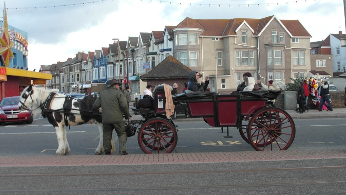 Things to Do in Blackpool WanderWisdom