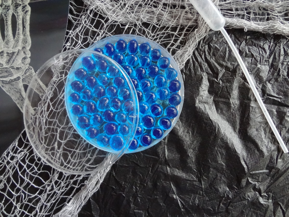 Water Beads Ideas and Uses Holidappy