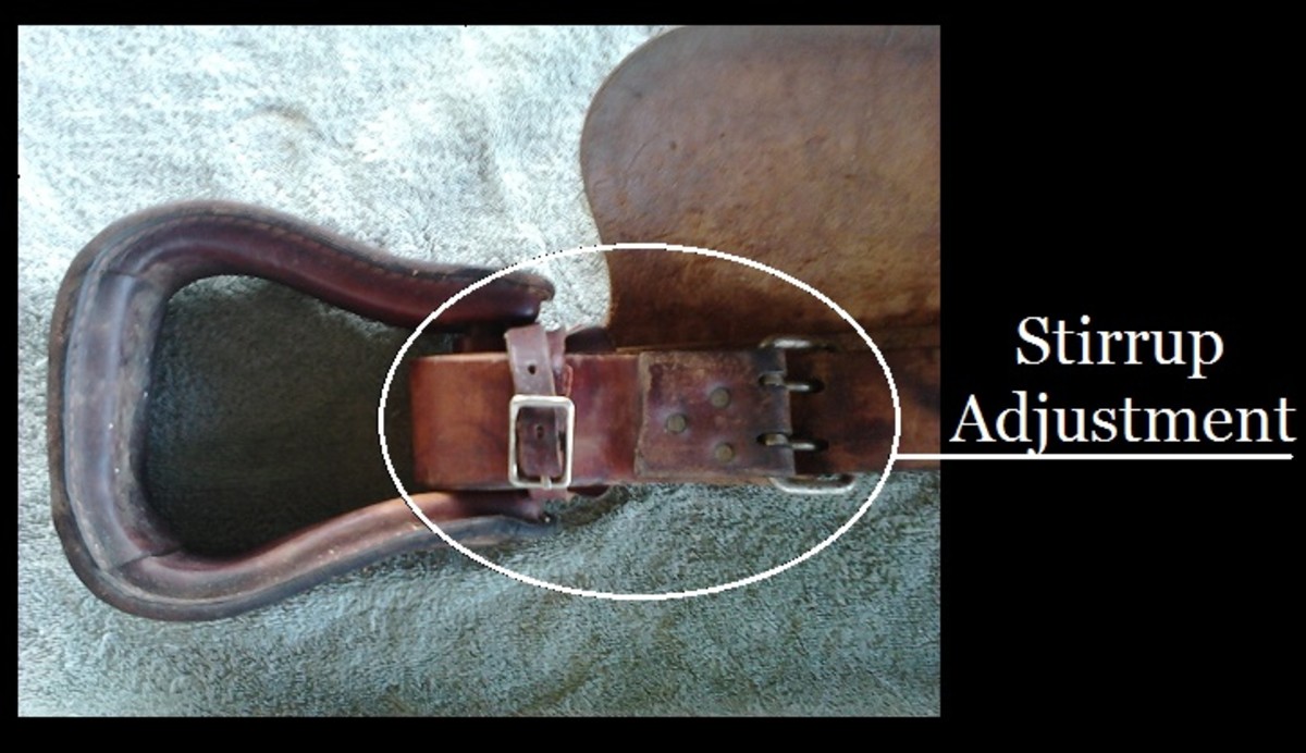Proper Western Saddle Fit HubPages