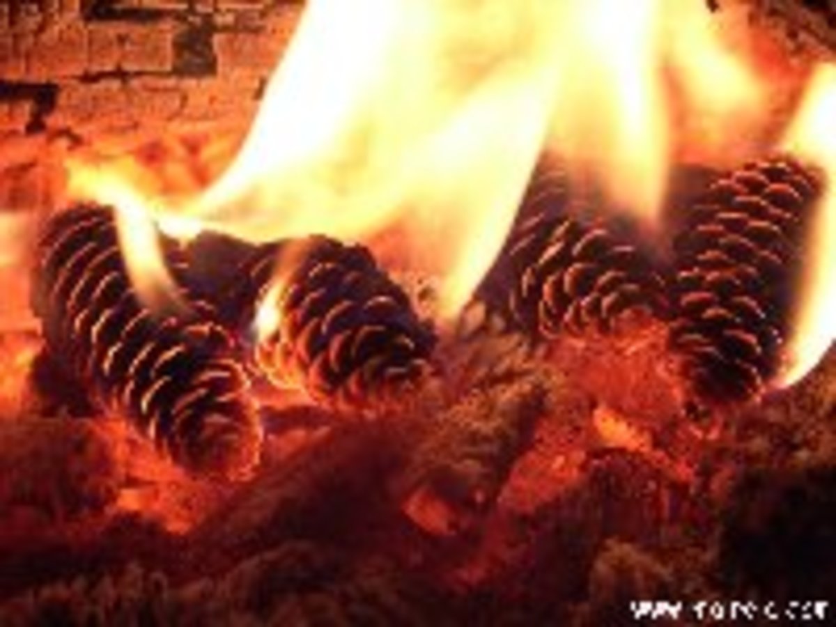 Holistic Benefits of the Finnish Sauna