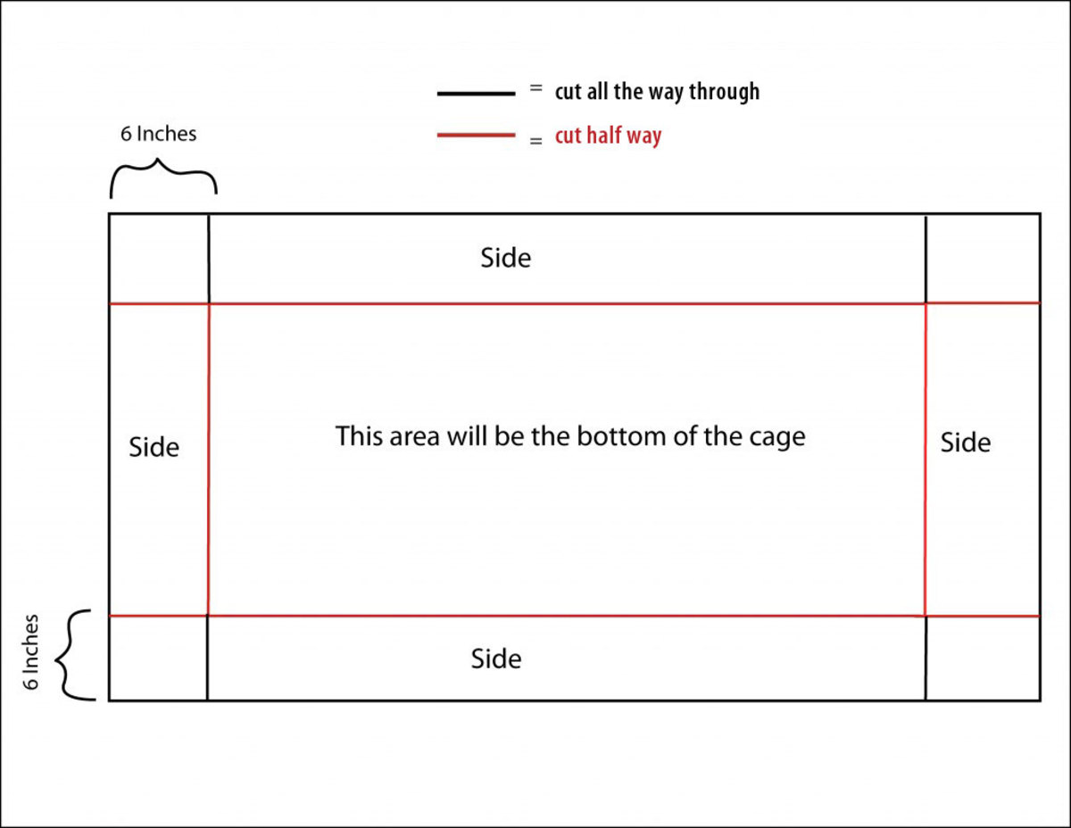 How to Build a C&C Guinea Pig Cage PetHelpful