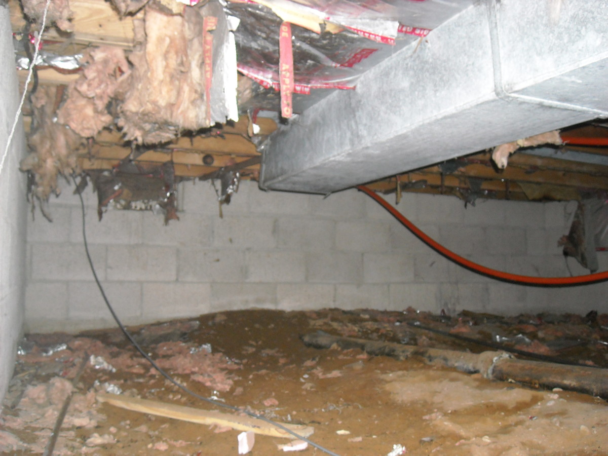 Insulating a Flat Roof Dengarden