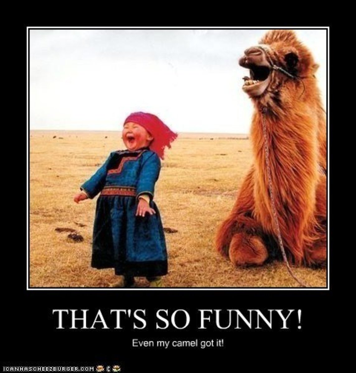 Over 100 Funny Clean Jokes HubPages