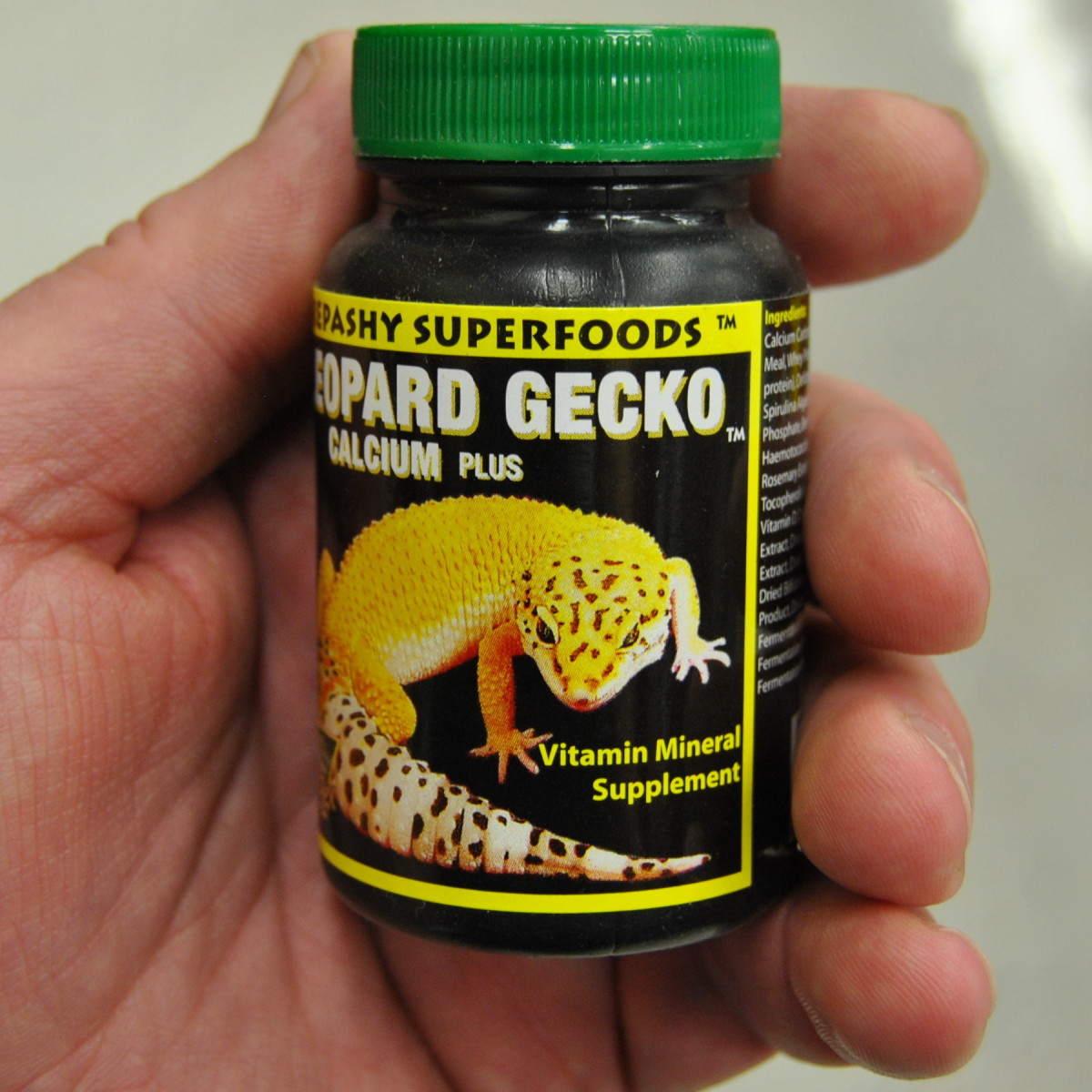 How to Make a Habitat for Your Pet Lizard PetHelpful