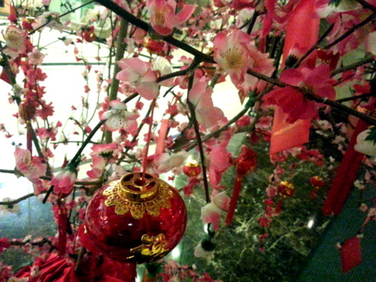 Plum Blossoms and Water Narcissus Chinese New Year Symbols of Prosperity HubPages